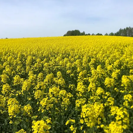I Woda - Wypocznij Na Mazurach! Ruciane-Nida